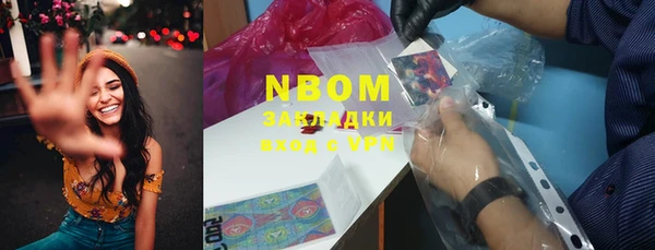 прущие грибы Белокуриха