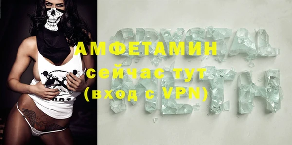 прущие грибы Белокуриха