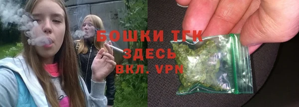 прущие грибы Белокуриха