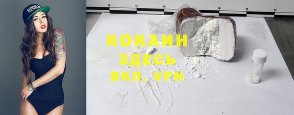 прущие грибы Белокуриха