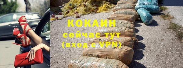 прущие грибы Белокуриха