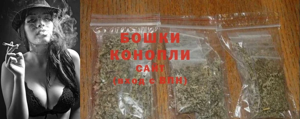 прущие грибы Белокуриха