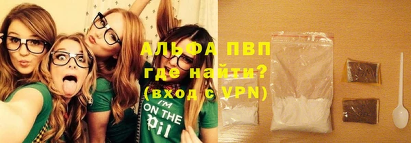 прущие грибы Белокуриха