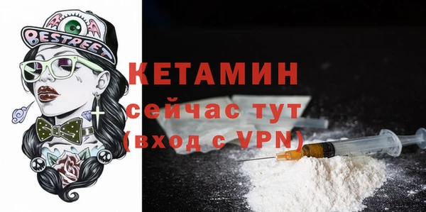 прущие грибы Белокуриха